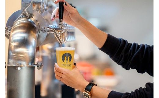TWO RABBITS BREWING クラフトビール＜飲み比べ5種×6本セット＞【DN18W】