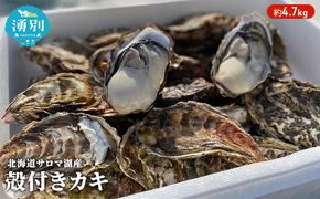 先行予約 北海道 サロマ湖産 カキ 約4.7kg 牡蠣 かき 海鮮 魚介 国産 殻付き 貝付き 生牡蠣 生食 焼き牡蠣 蒸し冷蔵 産地直送 オホーツク 魚貝類 