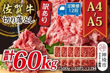 yꌧ_szy12ցz󂠂IyA4`A5zꋍ؂藎Ƃ 5kg(500g×10P)×12y  uh јa ӂ邳Ɣ[Łz(H112219j