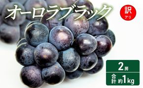 【2026年 先行予約】【訳あり品】オーロラブラック 2房 合計約1kg 常温配送 ぶどう 葡萄 フルーツ 果物 岡山 岡山のぶどう 食後 デザート 産地直送 大粒 爽やか 食べやすい 