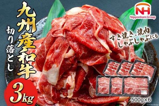 牛肉 九州産 和牛 切り落とし 3kg 500g×6p [日本ハムマーケティング 宮崎県 日向市 452060789] 冷凍 小分け 個包装 牛 すき焼き もも肉 モモ肉 牛バラ 牛肩