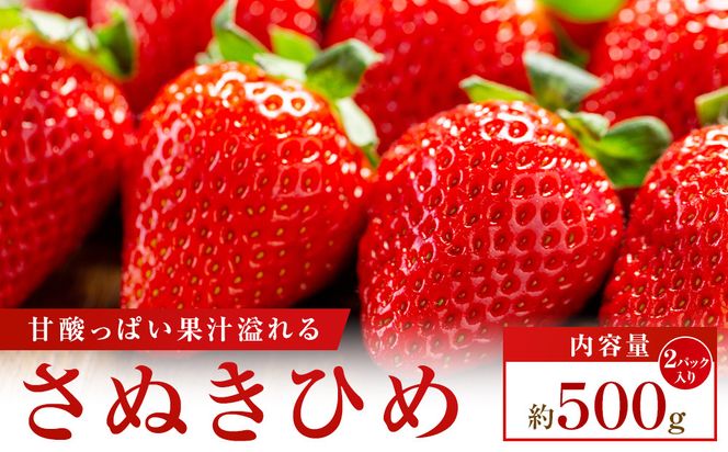 【大収穫祭・感謝企画】数量限定!!さぬきひめいちご　約500g 372013_T006-808J
