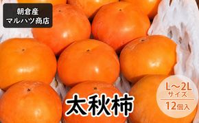 柿 太秋柿 L～2Lサイズ×12個入 マルハツ商店 配送不可：離島 果物類 かき 
