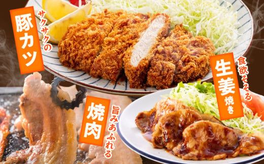 「高城の里」わくわく2.4kgセット(真空)≪みやこんじょ快速便≫_16-8401-s-R_(都城市) リピーター続出‼ 豚肉 都城産豚 高城の里 しゃぶしゃぶ バラ 焼肉 切り落とし 肩ローススライス ロース とんかつ  ブランド豚