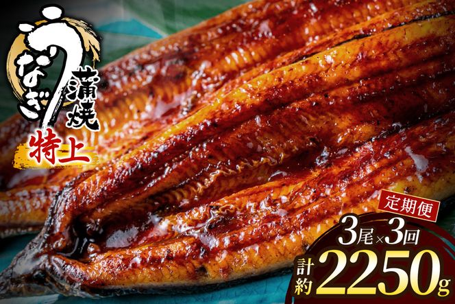 【3回定期便】うなぎ蒲焼き750g以上(250g以上×3尾)【魚住商店】_HB0224 うなぎ 鰻 蒲焼 真空パック 福岡県宗像市 宗像市 福岡 宗像