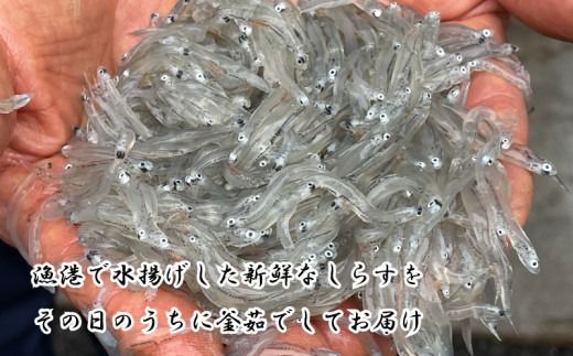 しらす 500g ～ 4kg 訳あり 冷凍 ちりめん かちり しらす干し 減塩 極み ごはん 丼 パスタ チャーハン サラダ 魚 料理 山庄 愛知県 南知多町 師崎