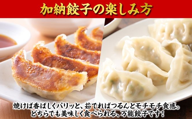 【数量限定】訳あり 餃子 冷凍生餃子 110個 生餃子 冷凍餃子 ギョーザ おかず 総菜 おつまみ つまみ ごはんのお供 中華 家庭用 お取り寄せ まとめ買い 大容量 冷凍食品 焼き餃子 冷凍 神奈川 神奈川県 茅ヶ崎市