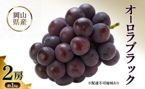 オーロラブラック 岡山県産 約1kg(2房) 果物 フルーツ ぶどう ブドウ 葡萄 国産 岡山