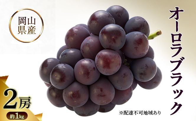 オーロラブラック 岡山県産 約1kg(2房) 果物 フルーツ ぶどう ブドウ 葡萄 国産 岡山