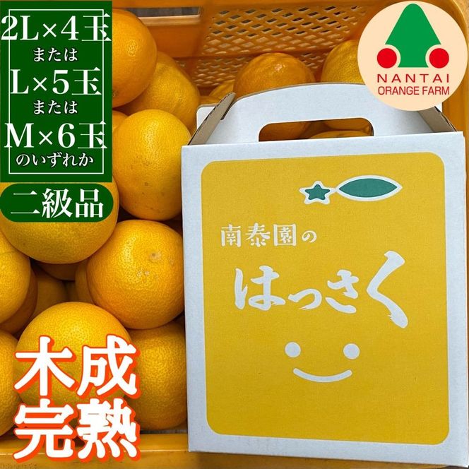 定期便 春に楽しむ ハウス せとか ＆ 木成 完熟 有田 はっさく 傷あり 二級品 小箱セット 全2回 南泰園 BS218