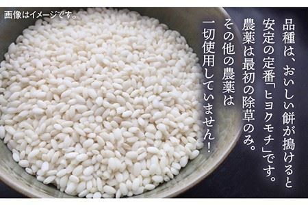 【年内発送】福吉産・ 山つき の もち米 1kg  《糸島》【二丈赤米産直センター】 [ABB027] 糯米 餅 おこわ