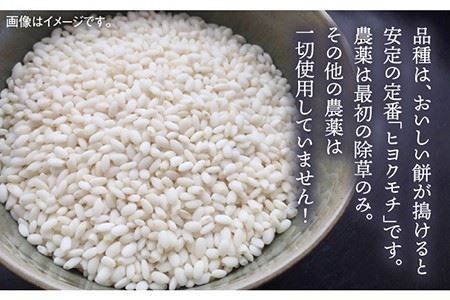 福吉産・ 山つき の もち米 1kg 《糸島》【二丈赤米産直センター】 [ABB027] 糯米 餅 おこわ