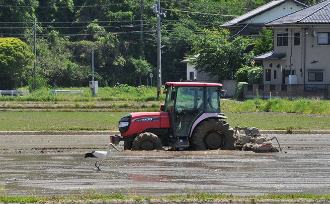 新米 令和8年度産 但馬産 コシヒカリ出石渓流米 5kg ～若手生産者限定・応援プロジェクト～/ お米 こしひかり 5キロ 兵庫県 但馬 出石 米 白米 精米 コメ こめ ご飯 ごはん ライス