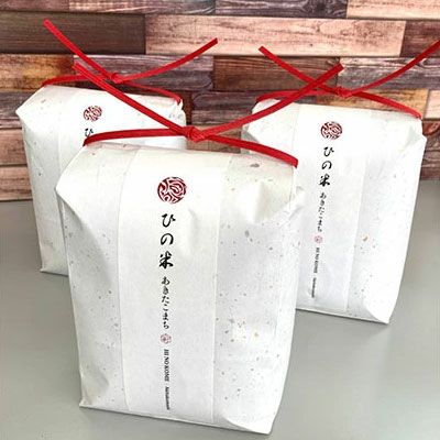 米 お米 《定期便》6kg×9ヶ月 秋田県産 あきたこまち 精米 2kg×3袋 神宿る里の米「ひの米」（お米 小分け）