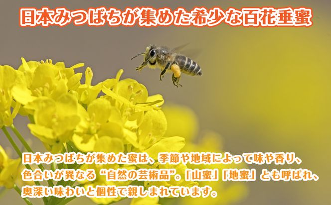 日本みつばちの百花垂蜜 150g×2個 保存料・着色料無添加 はちみつ