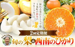 フルーツ 定期便 旬の梨 3kg 西南のひかり 5kg 2回定期便 さかもと果樹園《梨：8月中旬-10月上旬頃出荷 みかん：12月中旬-12月末頃出荷》熊本県 玉東町 梨 みかん 柑橘 果物 旬 秋 冬 先行予約 産地直送 デザート 秋冬 詰め合わせ---gkt_skm_7_8kg_2kh---