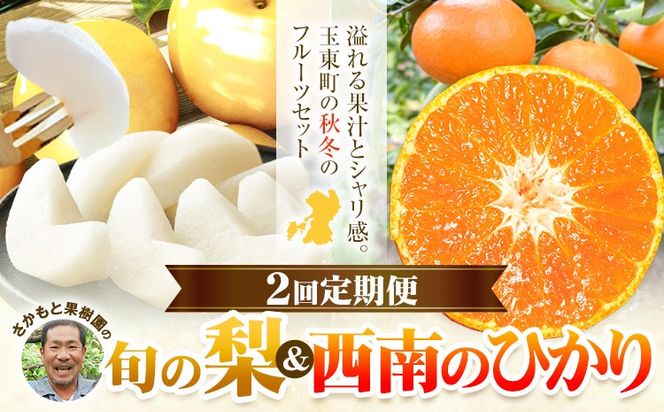 フルーツ 定期便 旬の梨 3kg 西南のひかり 5kg 2回定期便 さかもと果樹園《梨：8月中旬-10月上旬頃出荷 みかん：12月中旬-12月末頃出荷》熊本県 玉東町 梨 みかん 柑橘 果物 旬 秋 冬 先行予約 産地直送 デザート 秋冬 詰め合わせ---gkt_skm_7_8kg_2kh---