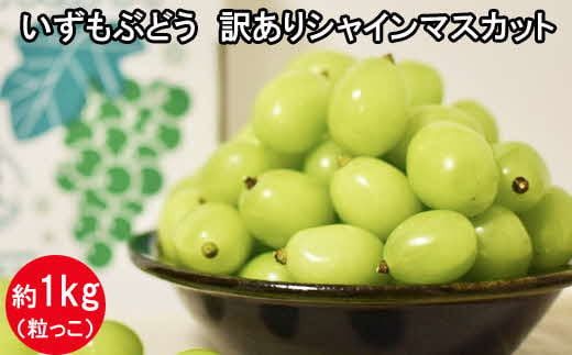 [2026年7月中旬以降発送]いずもぶどう 訳ありシャインマスカット(粒っこ)1kg見当 新鮮 甘い フルーツ 果物 322032