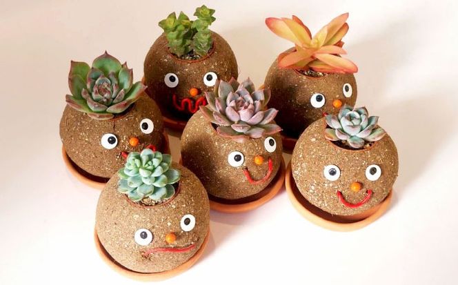 つちだくん2個セット 多肉 ポット セット 愛西市 / 花のひより園 [AEAX003]