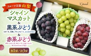 【2026年発送】おまかせ！ぶどう　3色　食べ比べ　セット　約1.8㎏　［ぶどう　葡萄　シャイン　シャインマスカット　クイーンニーナ　マイハート　スカーレット　巨峰　ブラックビート　くだもの　果物　フルーツ　人気　3種　詰め合わせ　ギフト　贈答　新鮮　山梨県　山梨　甲斐市］AD-304