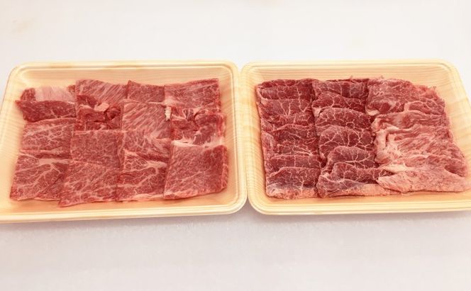井上牧場 朝倉和牛　焼肉セット（肩ロース） ※配送不可：離島 お肉 牛肉 バーベキュー 
