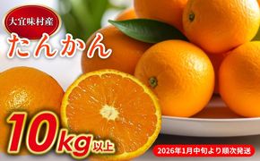 【2026年発送】大宜味村　たんかん　10kg 沖縄 おきなわ 大宜味村 果物 くだもの 果実 タンカン オレンジ みかん 柑橘 フルーツ お取り寄せ 人気 ふるさと納税 送料無料 国産 県産 ご当地 やんばる 先行予約
