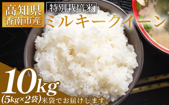 【令和8年8月下旬発送】特別栽培米 ミルキークイーン 10kg 高知県香南市産 sr-0003
