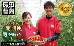 【4月～6月の定期便】トマト好き全員集合 トマト・トマト・トマト3か月お届けパック 野菜ソムリエサミット 金賞 受賞 長田農園 産地直送 トマト とまと 野菜 やさい フルーツ サラダ 濃厚 甘い ご褒美 プレゼント 美容 健康 リピート多数 人気 高評価 数量限定 碧南市　H004-218