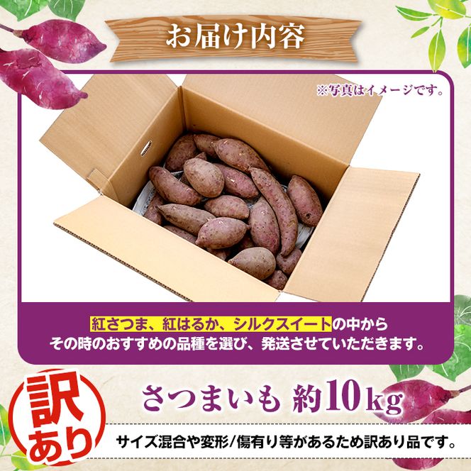 ＜先行予約受付中！2026年8月下旬以降順次発送予定＞訳あり！さつまいも (約10kg) 鹿児島県 阿久根市 さつま芋 サツマイモ 紅はるか 紅さつま シルクスイート 訳アリ 野菜 芋 イモ【松永青果】akn053-20