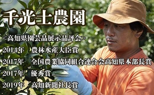 【早期予約 2026年2月上旬より順次発送】 土佐文旦 選べる容量 サイズ 約5kg 約10kg M ~ 4L 高知県産 柑橘 フルーツ 文旦 ぶんたん ブンタン 分担 果物 みかん 文旦 蜜柑 お裾分け デザート 柑橘 産地直送 訳あり 家庭用 文旦高知 5キロ 10キロ 高知県 安芸市 南国高知 HNT011