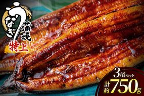 うなぎ蒲焼き3尾 計750g以上(250g以上×3尾)【魚住商店】_HA2102 うなぎ 鰻 蒲焼 真空パック 福岡県宗像市 宗像市 福岡 宗像