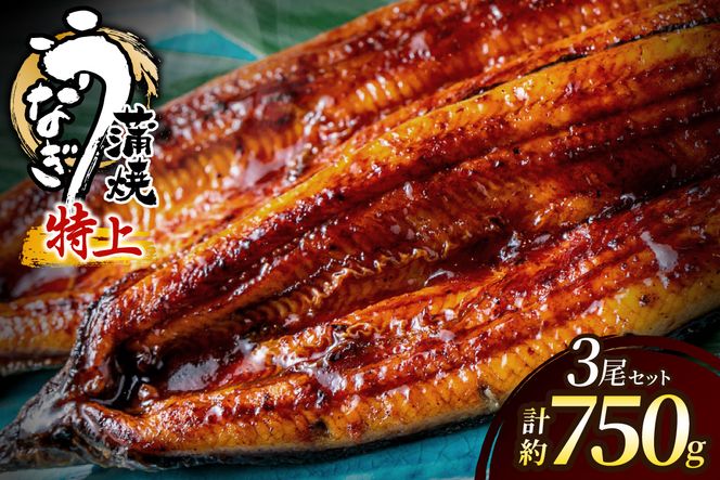 うなぎ蒲焼き3尾 計750g以上(250g以上×3尾)【魚住商店】_HA2102 うなぎ 鰻 蒲焼 真空パック 福岡県宗像市 宗像市 福岡 宗像