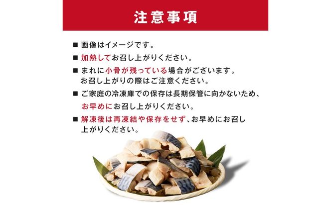 定期便3回【訳あり】魚屋の味付け骨取り塩サバ2パック（28切れ×3回/約2.1kg）※隔月 フィレ 切り身 骨抜き 冷凍 鯖 骨なし ふるさと納税 鯖 骨取り ふるさと納税 鯖 訳あり　TB00071