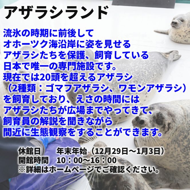 25-99 ガリンコ号3 IMERU 冬期運航 流氷クルーズ乗船券（3施設入場券セット）