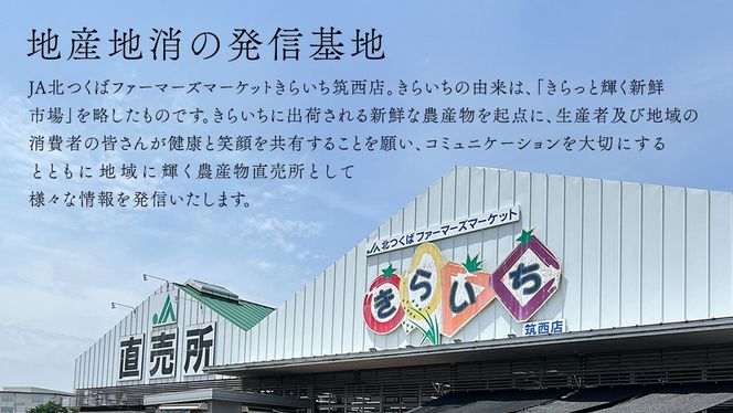 【 茨城ブランド肉の最高峰 】ローズポーク ＆ 常陸牛 贅沢 定期便 ( 全6種 ) ブランド豚 銘柄豚 豚肉 豚 肉 お肉 にく ロース 生姜焼き しゃぶしゃぶ 焼肉 バーベキュー 厚切り とんかつ ポークソテー トンテキ  牛肉 和牛 ギフト 贈答 贈り物 国産 茨城県産 茨城県共通返礼品 [AE083ci]