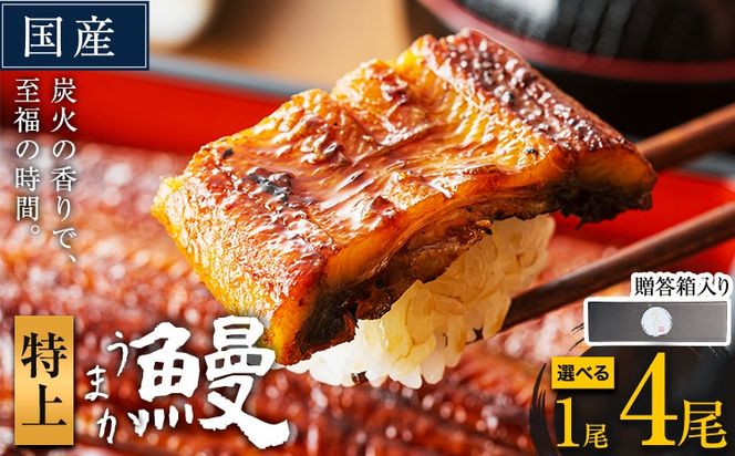うなぎ 特上サイズ 選べる尾数 1尾 2尾 3尾 4尾 贈答箱入り 国産 ランキング 獲得 鰻 真空パック おすすめ うなぎの蒲焼 《30日以内に出荷予定(土日祝除く)》 ふるさとのうぜい 特上 簡易包装 ウナギ unagi 蒲焼 秋 冬 旬 配送時期 冷凍 ---mifune_lcl_1141_1dai---