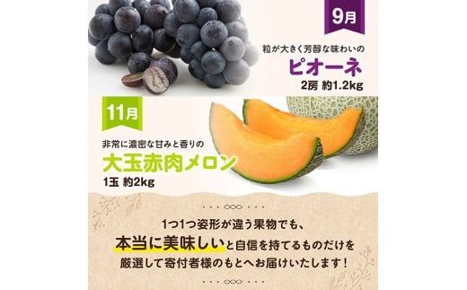 【 全6回定期便 】 プレミアム デラックス 定期便 【奇数月】 【 川南町産 きんかん いちご 完熟 マンゴー ぶどう ピオーネ 赤肉 メロン 】[D11716t6]