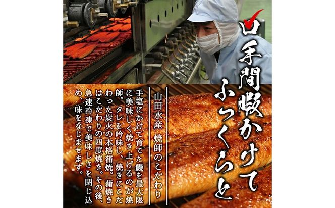 【数量限定】チンする♪霧島湧水鰻重セット 2食入 620g(蒲焼半身＋味付けご飯 [計310g×2食]) a1-049