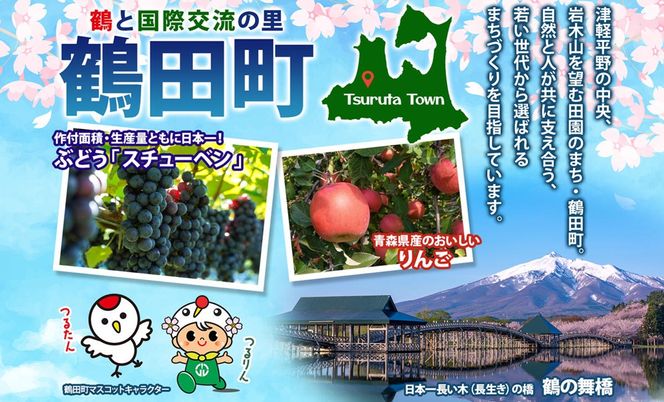 【5月発送クール便】白熊 贈答用シナノスイート約3kg スマートフレッシュ 糖度13度【青森りんご 果物 フルーツ 果物類 デザート 食後 おやつ 青森のりんご 】