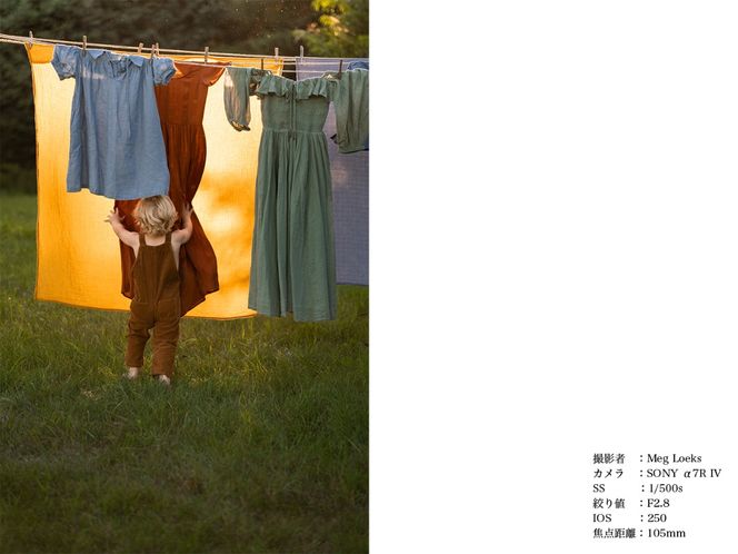 SIGMA 28-105mm F2.8 DG DN | Art【ソニーEマウント】（数量限定）