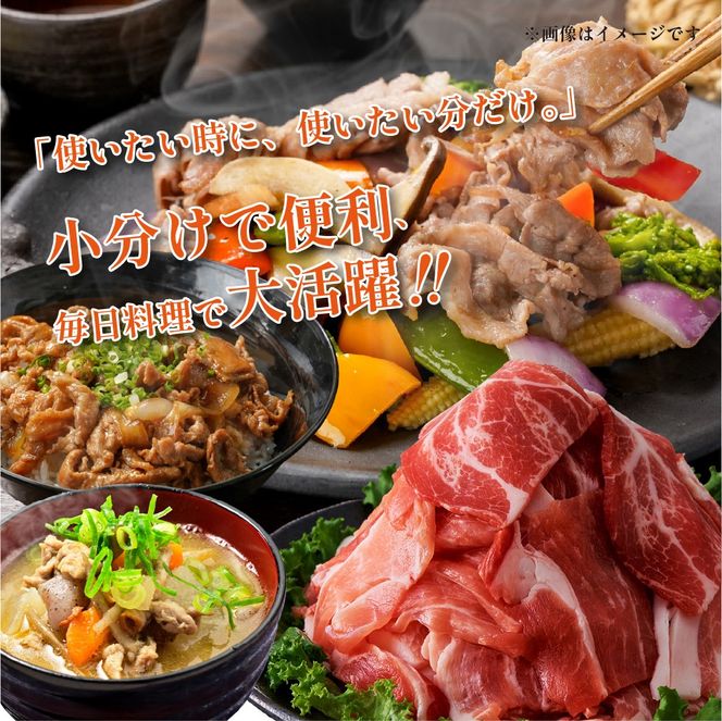 【定期便全6回】生活支援定期便15.5kg(豚切り落とし 豚バラスライス 豚肩ロース しゃぶしゃぶ 肩ロース生姜焼き 豚ロースとんかつ 豚モモウデ切り落とし 国産 九州産）)