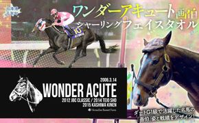 【ワンダーアキュート画伯】シャーリングフェイスタオル BRTV205