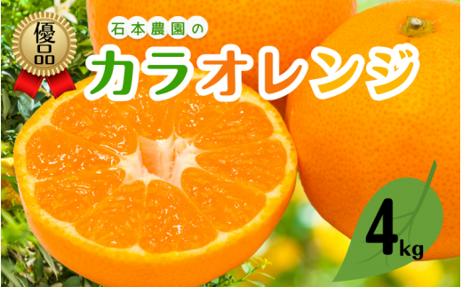 みかん オレンジ M以上の優品 石本農園のカラオレンジ約4kg[2026年4月初旬から下旬までに順次発送] / みかん ミカン 蜜柑 カラ カラオレンジ[mis008A]