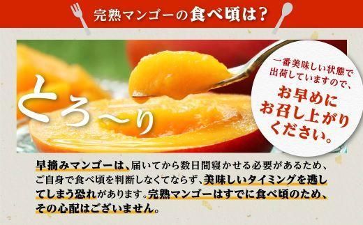 【訳あり】 1.5kg 大崎完熟マンゴー「郷の恵（さとのめぐみ）」加工用マンゴー（糖度10度前後） 464686_BD008