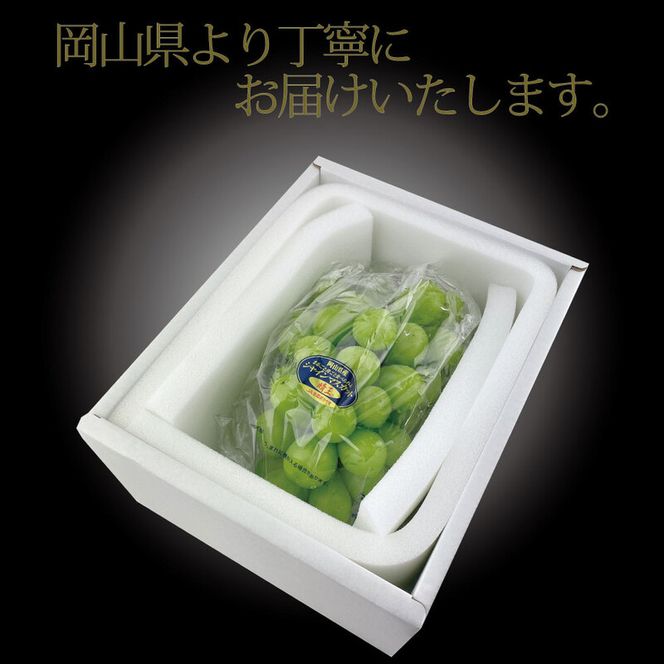 [HS]ぶどう先行予約7月・8月発送温室シャインマスカット晴王1約600g ブドウ 葡萄  岡山県産 国産 フルーツ 果物 ギフト デザート 食後 酸味が少ない 産地直送