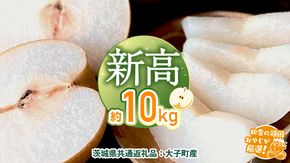 梨 新高 約10kg 【2026年10月より発送開始】（茨城県共通返礼品 [梨]：大子町産）田舎の頑固おやじが厳選！ なし 新高梨 和梨 フルーツ 果物 くだもの 高糖度 ギフト 茨城 [BI307-NT]