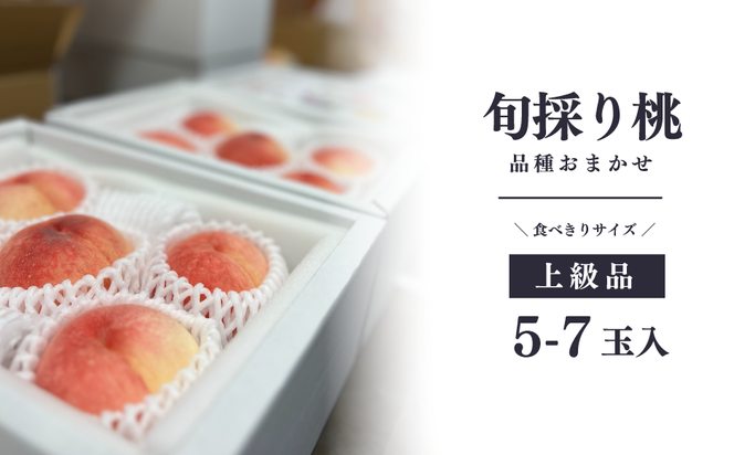 旬採り桃(品種おまかせ) 上級品 5-7玉 (岡山県産) / もも 桃 モモ 先行予約 フルーツ 果物 真庭市 フルーツ王国 きよとう果樹園 岡山 【KF-A002-04】