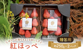 大河原町のいちご 完熟いちご 2パック 果物 フルーツ 苺 紅ほっぺ かおり みずみずしい ジューシー 期間限定 季節限定 いちご 小分け