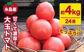 【甘くて濃厚】大玉 トマト 4kg 糸島産 《糸島》 【大櫛トマトファーム】 [AQH002] 糸島野菜 野菜 とまと サラダ ジャム シャーベット かれん 彩り