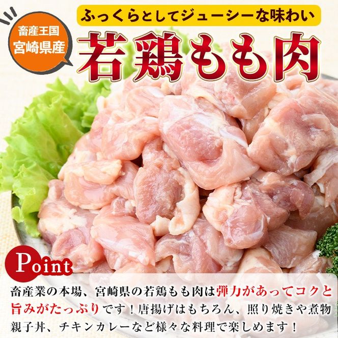 ＜先行予約受付中！2025年2月中に発送予定＞鶏肉 もも肉 小分け(計3.4kg・340g×10P) お肉 鳥肉 とり肉 カット済 国産 宮崎県産 唐揚げ から揚げ からあげ 冷凍 便利 【NK-01】【株式会社南九フーズ】